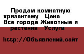 Продам комнатную хризантему › Цена ­ 250 - Все города Животные и растения » Услуги   